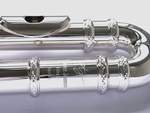 Trevor James 10XE-P Flute Outfit - Curved & Straight Heads. CS 925 Silver Lip Plate and Riser Product Image