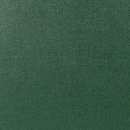 BAM Trekking Cornet Case Green