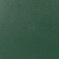 BAM Trekking Cornet Case Green