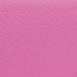 BAM L'Étoile Hightech Oblong Viola Case Pink