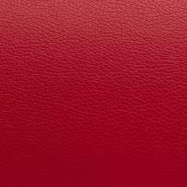 BAM L'Étoile Hightech French Horn Case Red