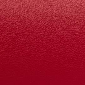BAM L'Étoile Hightech Gentleman Bassoon Case Red