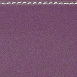 BAM L'Étoile Hightech 2 Bow Case For German Double Bass Violet