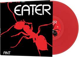 Ant