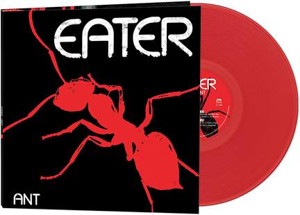 Ant