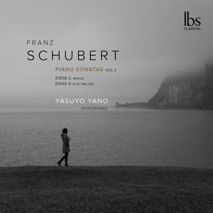 Franz Schubert: Piano Sonatas, Vol. 2