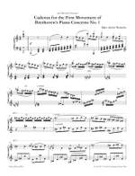 Hamelin, Marc-Andre: Cadenzas for Beethoven Piano Concerti Product Image