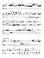 Hamelin, Marc-Andre: Cadenzas for Haydn Piano Concerti F, G Product Image