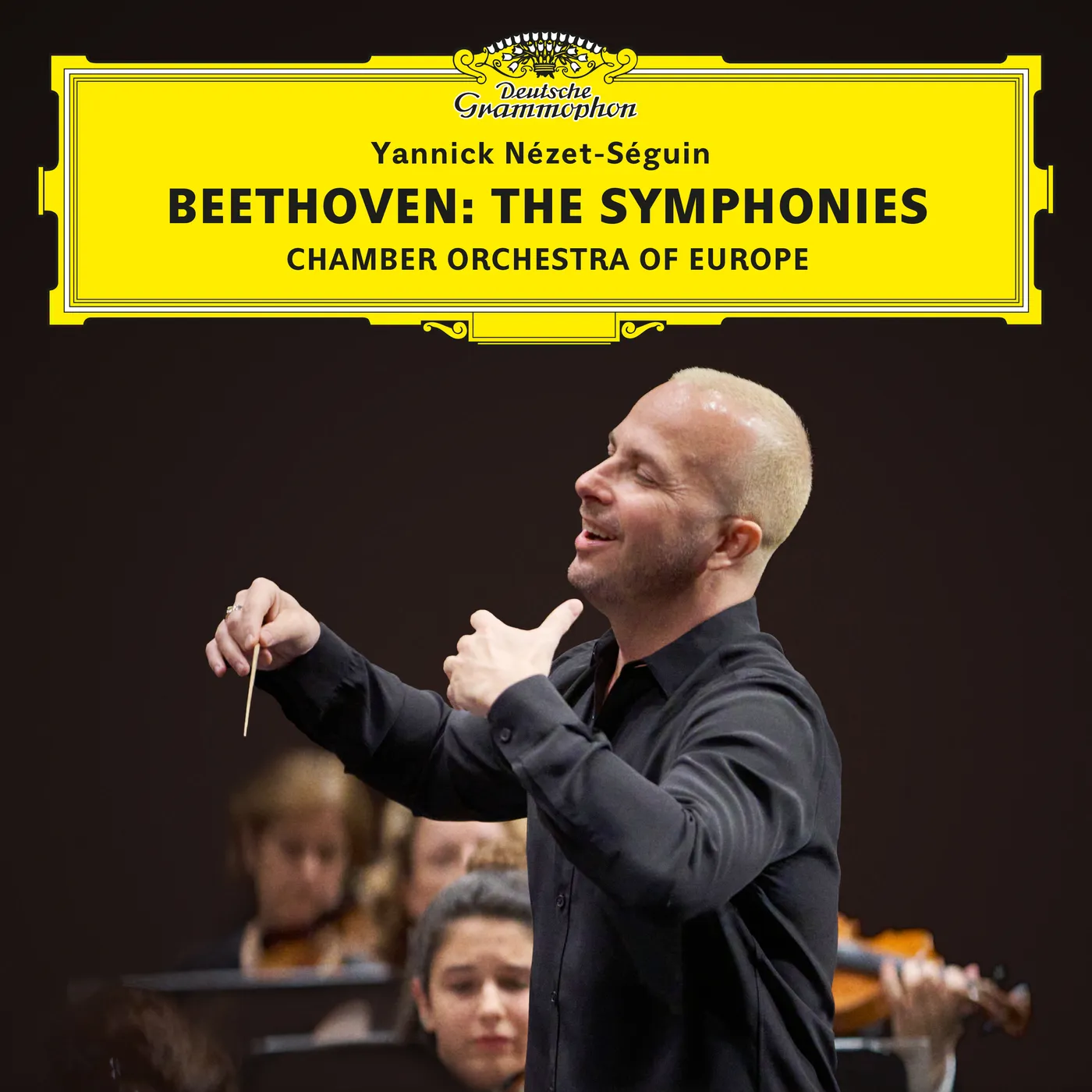その他 Beethoven - The Symphonies - Symphonies The Beethoven その他