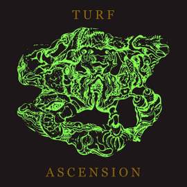 Turf Ascension