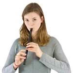 Recorder Workshop Irish whistle in D Product Image