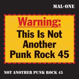 Not Another Punk Rock 45
