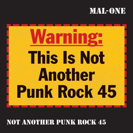 Not Another Punk Rock 45