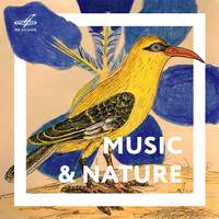 Music & Nature