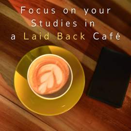 Focus on Your Studies in a Laid Back Café