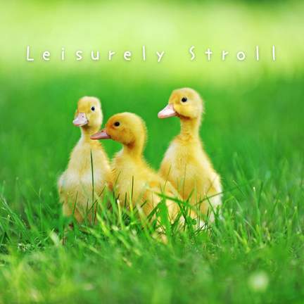 Leisurely Stroll