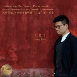 Piano Sonata No. 14, Op. 27 No. 2 'Moonlight': I. Adagio sostenuto