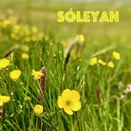 Sóleyan