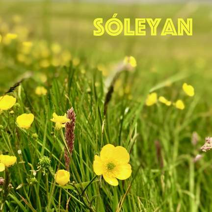 Sóleyan