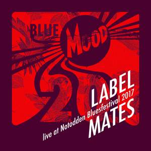 Blue Mood Label Mates - Live at Notodden Blues Festival 2017