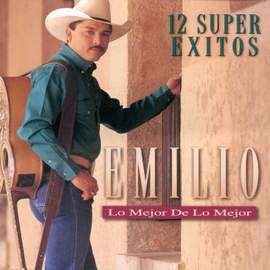 Los Mejor De Los Mejor-12 Super Exitos