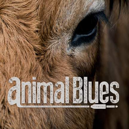 Animal Bues