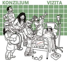 Konzilium Vizita