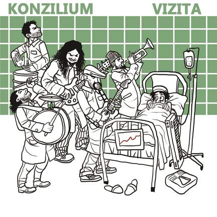 Konzilium Vizita