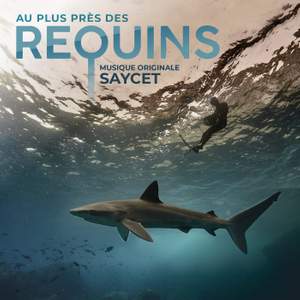 Au plus près des requins