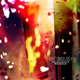Antomology