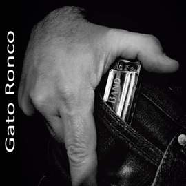 Gato Ronco