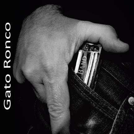 Gato Ronco