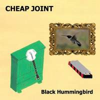 Black Hummingbird