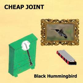 Black Hummingbird