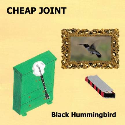Black Hummingbird