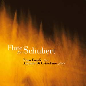 Flute for Schubert