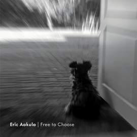 Free to Choose