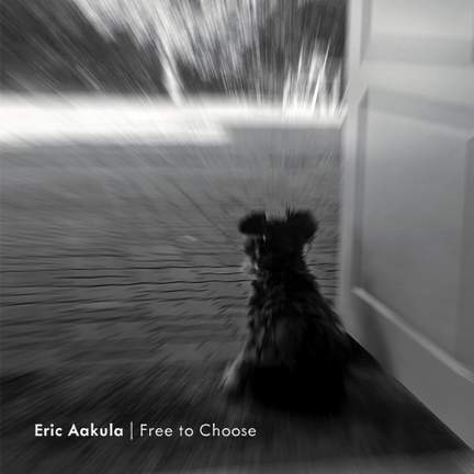 Free to Choose