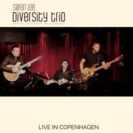 Søren Lee Diversity Trio
