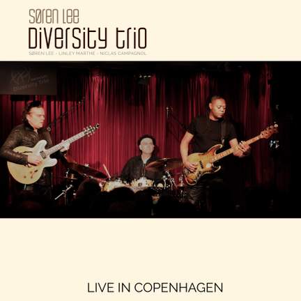 Søren Lee Diversity Trio