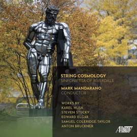 String Cosmology