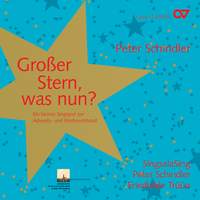 Peter Schindler: Großer Stern, was nun?