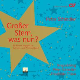 Peter Schindler: Großer Stern, was nun?