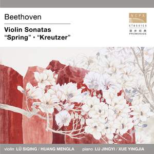 Beethoven: Violin Sonatas - Spring & Kreutzer