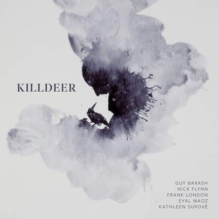 Guy Barash: Killdeer