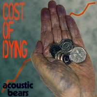 Cost of Dying