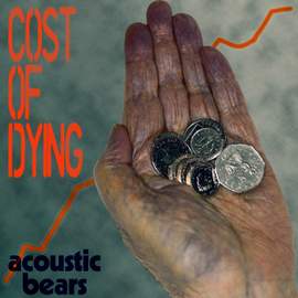 Cost of Dying