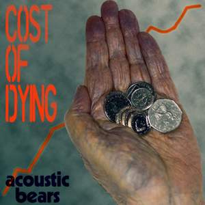 Cost of Dying