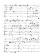 McNeff, Stephen: Beyond the Garden (full score) Product Image
