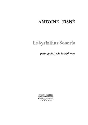 Antoine Tisné: Labyrinthus Sonoris